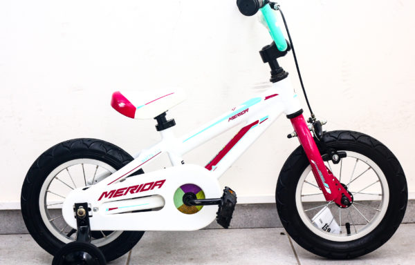 MERIDA Matts J12